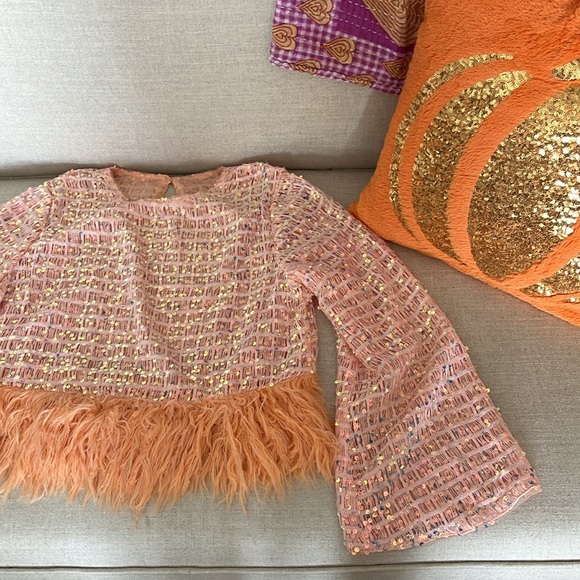 Sequined Pink/ Melon NEW faux feathered long sleeve crop top size large - Picture 3 of 6